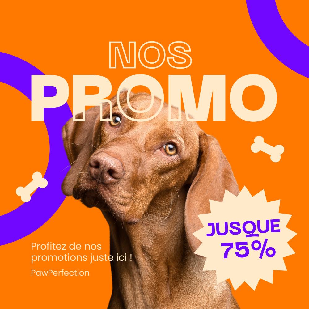 Nos Promotions