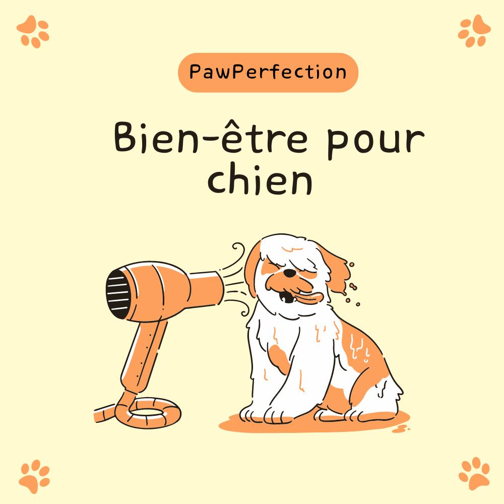 Bien-être pour chien