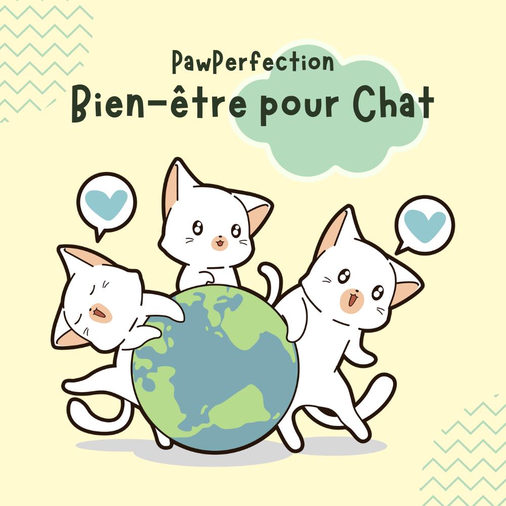 Bien-être pour Chat