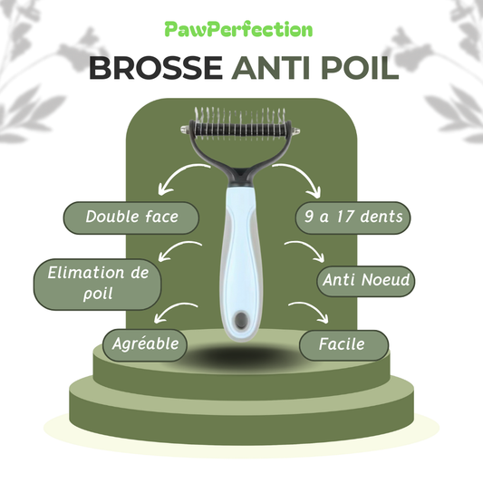 Brosse Anti Poil - PawPerfection